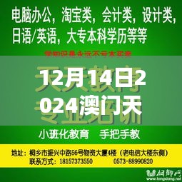 12月14日2024澳门天天开好彩大全开奖结果：财富梦想的启动时刻