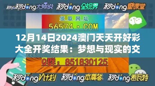 12月14日2024澳门天天开好彩大全开奖结果：梦想与现实的交汇