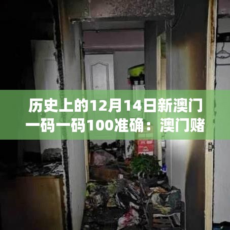 历史上的12月14日新澳门一码一码100准确：澳门赌场中的数字巧合与人生奇迹