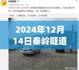 深度解析，秦岭隧道车祸事故原因与救援进展的最新进展报告（2024年12月14日更新）