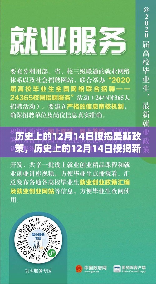 揭秘历史按揭政策变迁，自然美景之旅的心灵觉醒与最新按揭政策解读