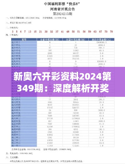 2024年12月14日 第11页