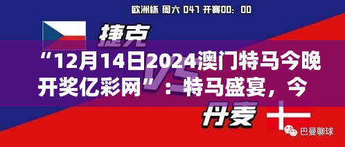 “12月14日2024澳门特马今晚开奖亿彩网”：特马盛宴，今晚揭晓