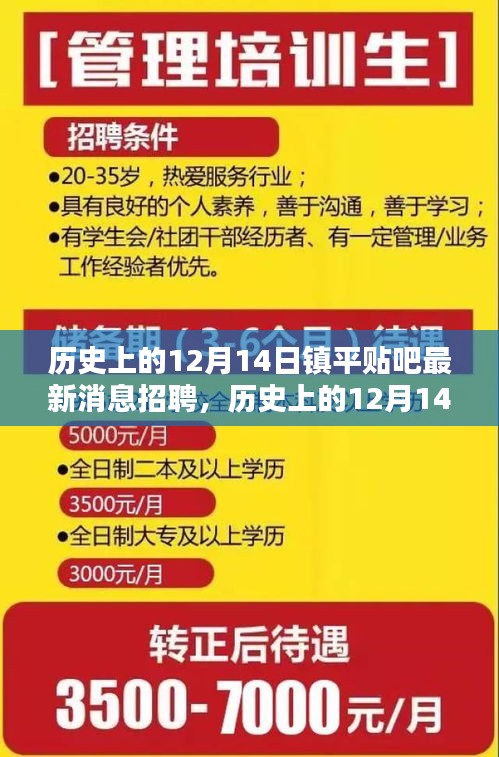 历史上的12月14日镇平贴吧招聘最新消息深度解析