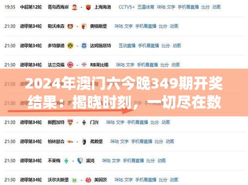 2024年澳门六今晚349期开奖结果：揭晓时刻，一切尽在数字之中！