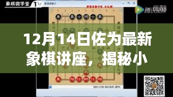 揭秘象棋天地，佐为最新象棋讲座之旅（12月14日）