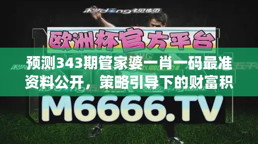 预测343期管家婆一肖一码最准资料公开，策略引导下的财富积累