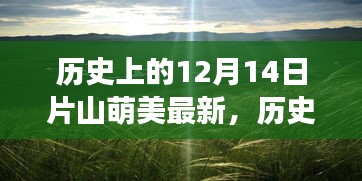 片山萌美，励志故事中的力量与自信之光——历史上的今天回顾与最新动态（12月14日）