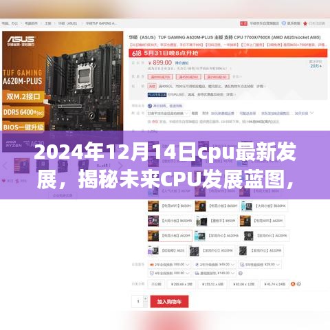 2024年12月15日 第12页