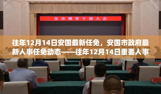 往年12月14日安国市政府人事任免动态及重要人事调整概览