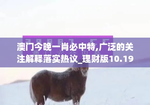 澳门今晚一肖必中特,广泛的关注解释落实热议_理财版10.199