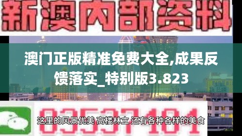 澳门正版精准免费大全,成果反馈落实_特别版3.823