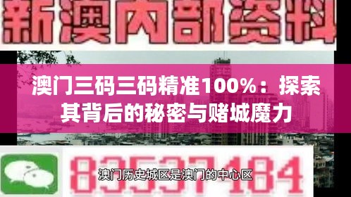 澳门三码三码精准100%：探索其背后的秘密与赌城魔力