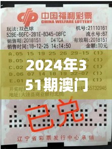 2024年351期澳门开奖结果：数字的魔法与彩民的梦想