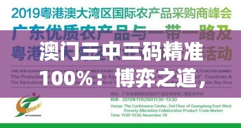 澳门三中三码精准100%：博弈之道，技巧与运气的完美融合