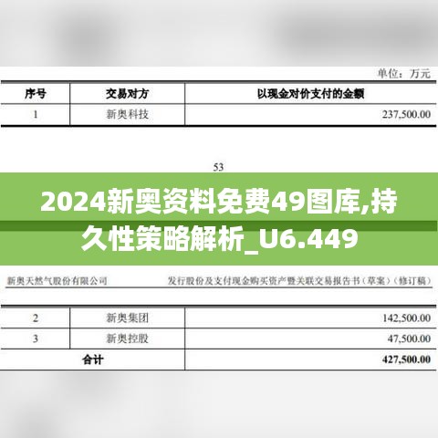 2024新奥资料免费49图库,持久性策略解析_U6.449