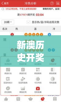 新澳历史开奖记录查询结果,统计分析解析说明_标准版8.360