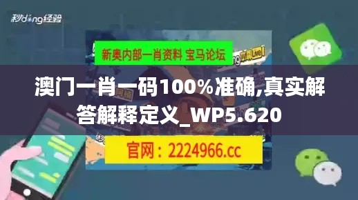 澳门一肖一码100%准确,真实解答解释定义_WP5.620