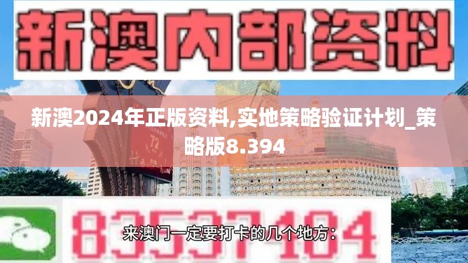 新澳2024年正版资料,实地策略验证计划_策略版8.394