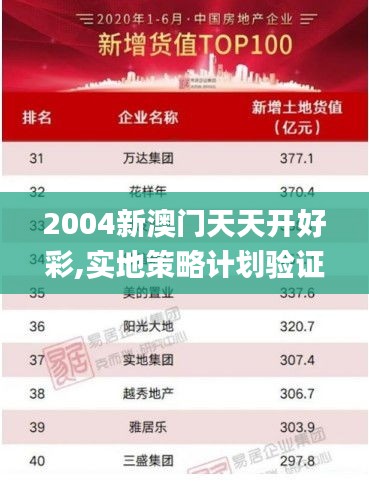 2004新澳门天天开好彩,实地策略计划验证_限量版3.878