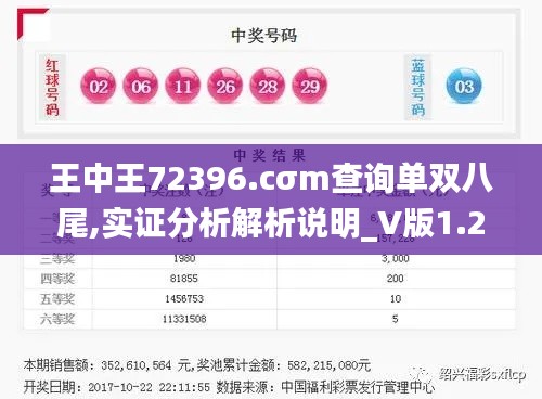 王中王72396.cσm查询单双八尾,实证分析解析说明_V版1.231