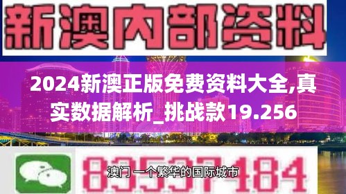 2024新澳正版免费资料大全,真实数据解析_挑战款19.256