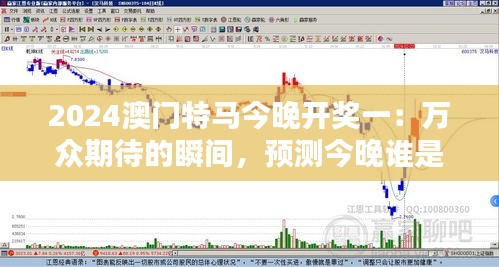 2024澳门特马今晚开奖一：万众期待的瞬间，预测今晚谁是大赢家？