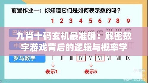 九肖十码玄机最准确：解密数字游戏背后的逻辑与概率学