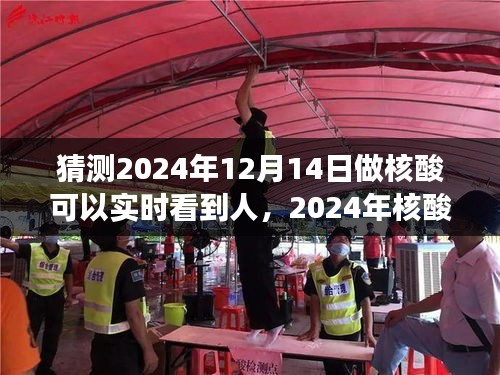 时代的步伐，2024年核酸检测实时可视化展望