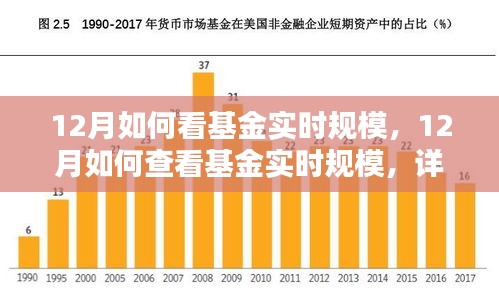 12月基金实时规模查看指南，详细步骤助你轻松掌握