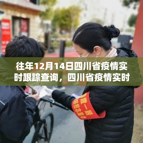 四川省疫情实时跟踪查询指南，适用于初学者与进阶用户，历年12月14日疫情数据回顾