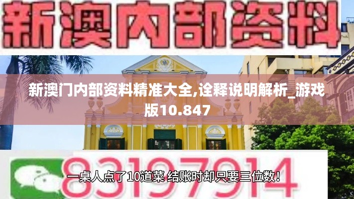 新澳门内部资料精准大全,诠释说明解析_游戏版10.847