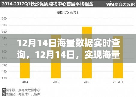 揭秘，如何在12月14日实现海量数据实时查询的高效秘诀