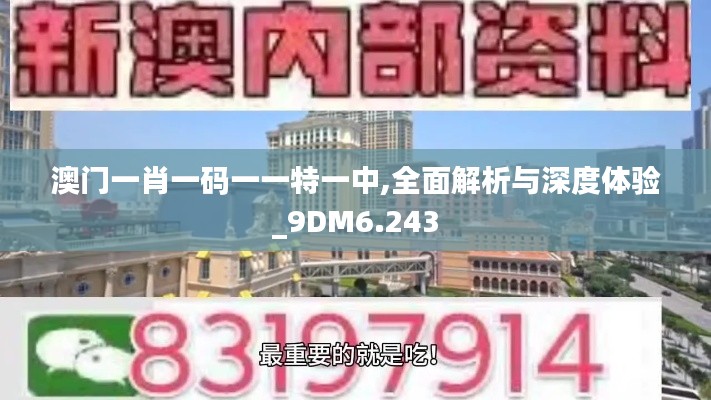 澳门一肖一码一一特一中,全面解析与深度体验_9DM6.243