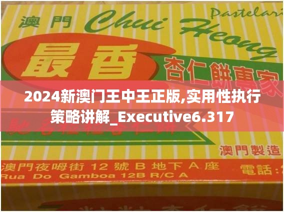 2024新澳门王中王正版,实用性执行策略讲解_Executive6.317