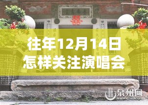 探秘音乐情报站，如何轻松掌握往年12月14日演唱会实时动态与小巷深处的音乐资讯