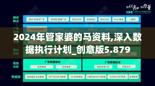 2024年管家婆的马资料,深入数据执行计划_创意版5.879