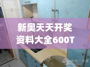 新奥天天开奖资料大全600Tk,深度分析解释定义_动态版7.982