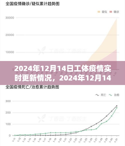 2024年12月14日工体疫情实时更新情况分析报告