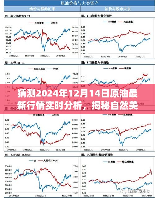 揭秘原油行情背后的宁静与力量，2024年12月14日原油实时行情分析与自然美景探寻报告