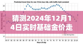 2024年12月14日基础金价走势预测与深度解析，探寻未来金价动向