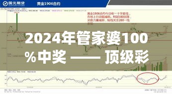 2024年管家婆100%中奖 —— 顶级彩票系统的财富秘诀