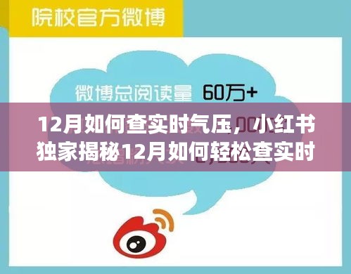 小红书独家揭秘，如何轻松查询实时气压，从容应对天气变化！