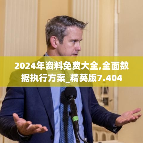 2024年资料免费大全,全面数据执行方案_精英版7.404