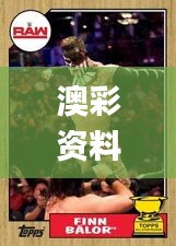 澳彩资料免费的资料大全wwe,重要性解释落实方法_set5.663