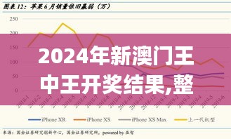 2024年新澳门王中王开奖结果,整体执行讲解_战略版2.617