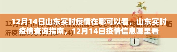 山东实时疫情查询指南，12月14日疫情信息及查询渠道介绍