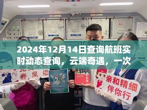 云端奇遇，温馨航班动态实时查询之旅（2024年12月14日）