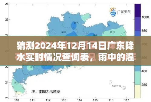 广东2024年12月14日降水奇遇，温情与实时查询表揭秘