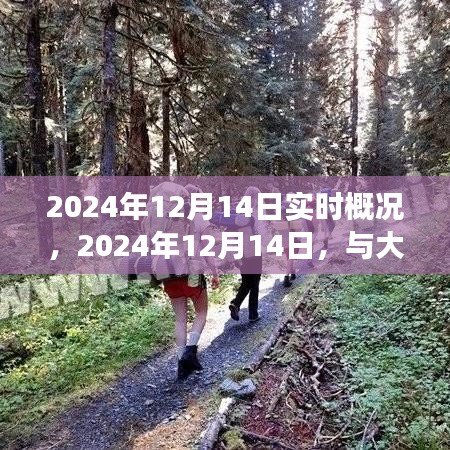 2024年12月14日实时概况，与自然共舞的日子，远离尘嚣的旅行探索之旅